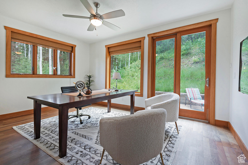 Office featuring hardwood / wood-style floors and ceiling fan