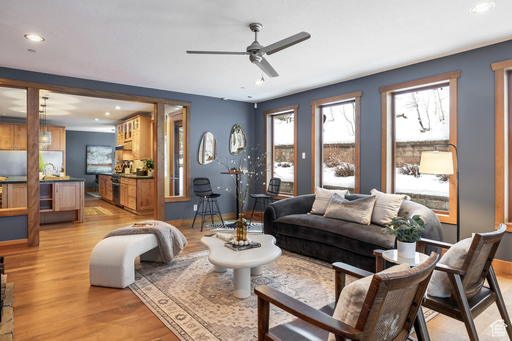 Living room featuring ceiling fan and light hardwood / wood-style flooring