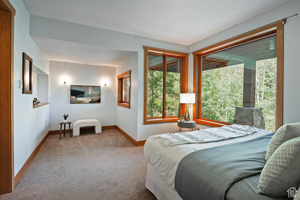 Bedroom featuring carpet floors