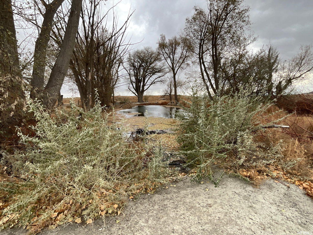 View of yard featuring a water view