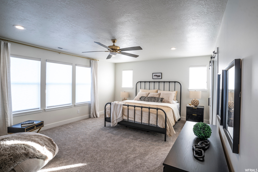 Bedroom featuring multiple windows, light carpet, ceiling fan, and a textured ceiling