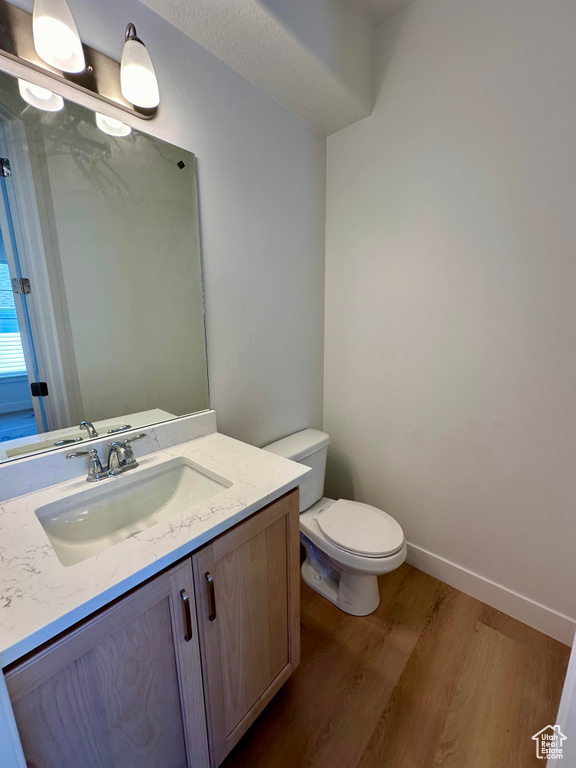 Bathroom featuring vanity with extensive cabinet space, toilet, and wood-type flooring