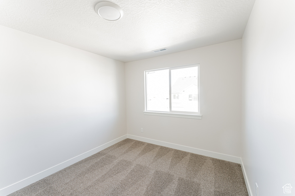 Empty room featuring light colored carpet and a textured ceiling