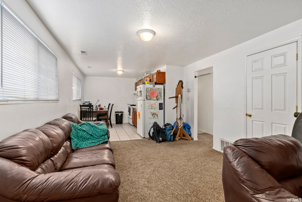 Carpeted living room with a textured ceiling