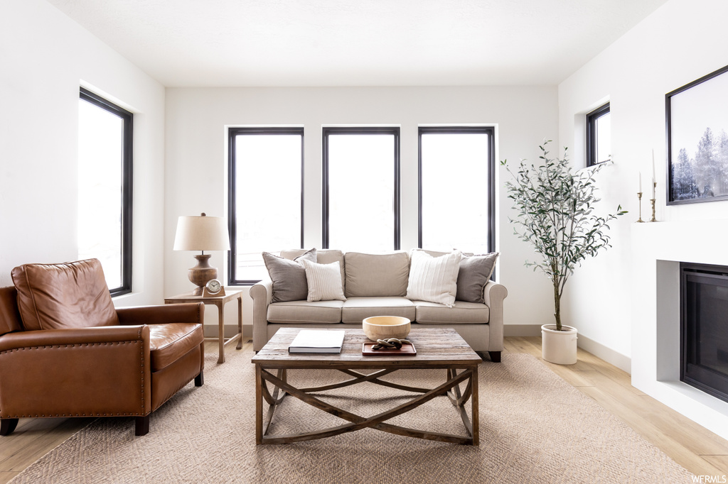 Living room featuring light wood-type flooring and plenty of natural light