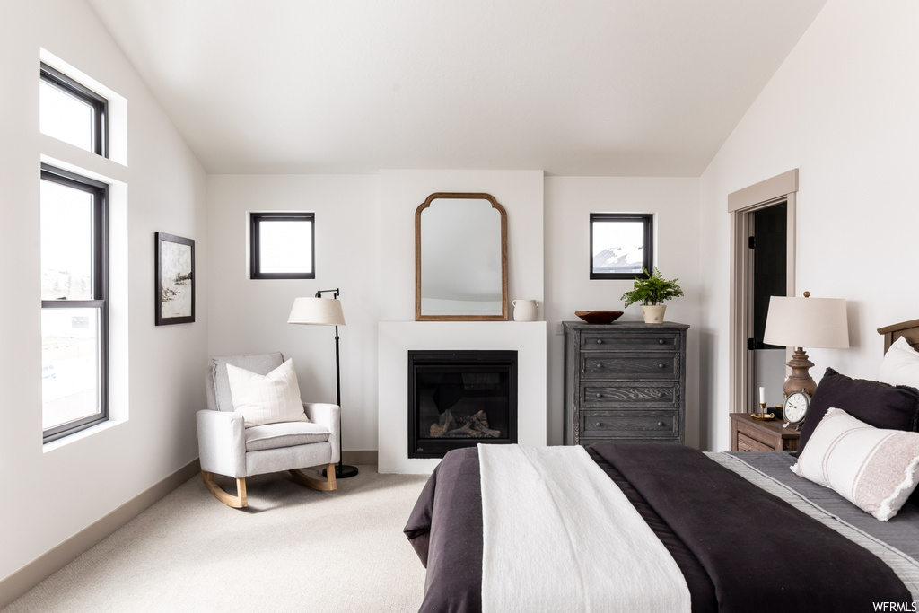 Carpeted bedroom with vaulted ceiling