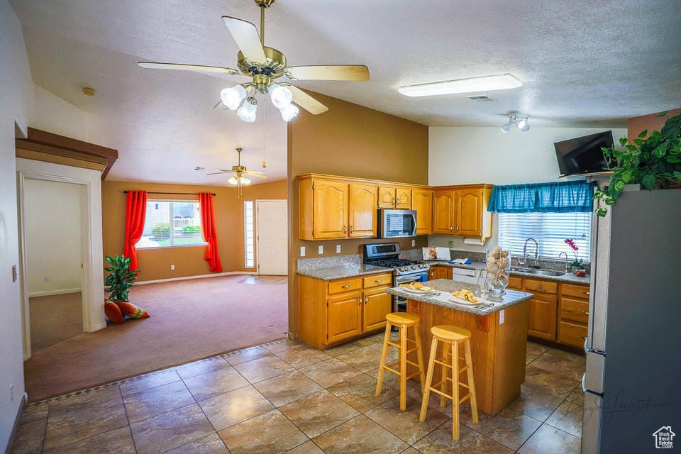 Kitchen featuring carpet floors, appliances with stainless steel finishes, sink, a kitchen island, and ceiling fan
