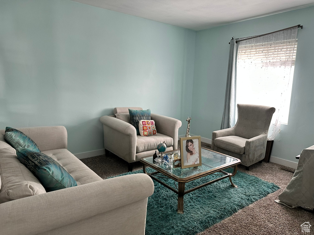 Living room featuring dark colored carpet