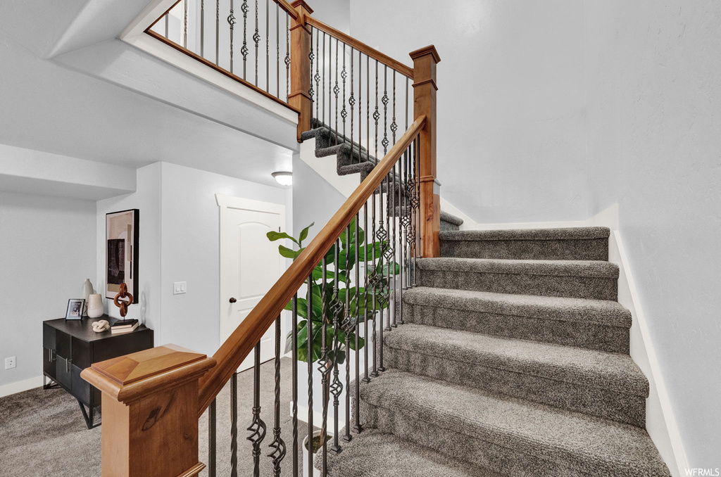 Staircase with carpet floors