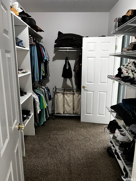 Spacious closet with dark colored carpet