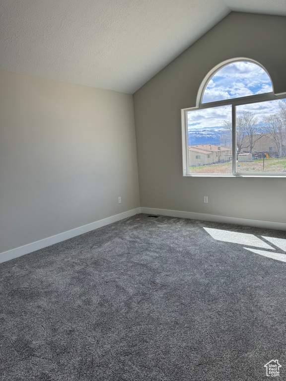 Carpeted spare room with plenty of natural light, vaulted ceiling, and a textured ceiling