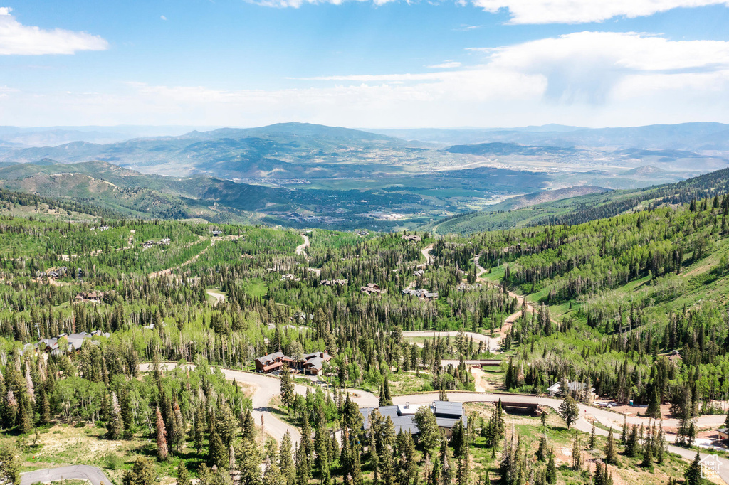 Mountain view with a heavily wooded area