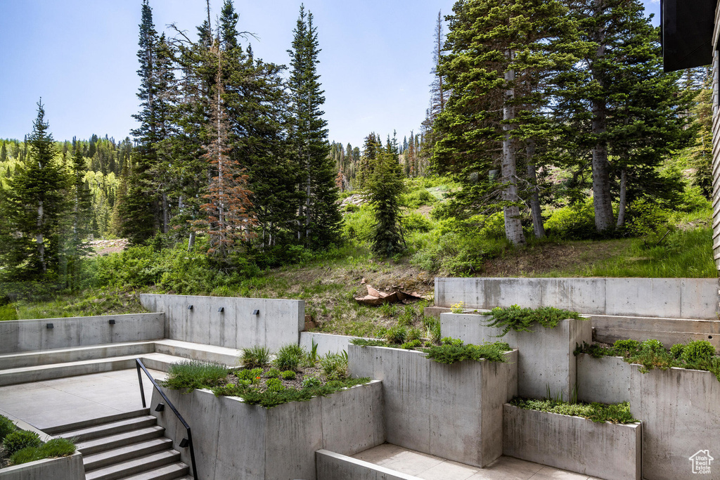 View of patio / terrace featuring a view of trees and stairway
