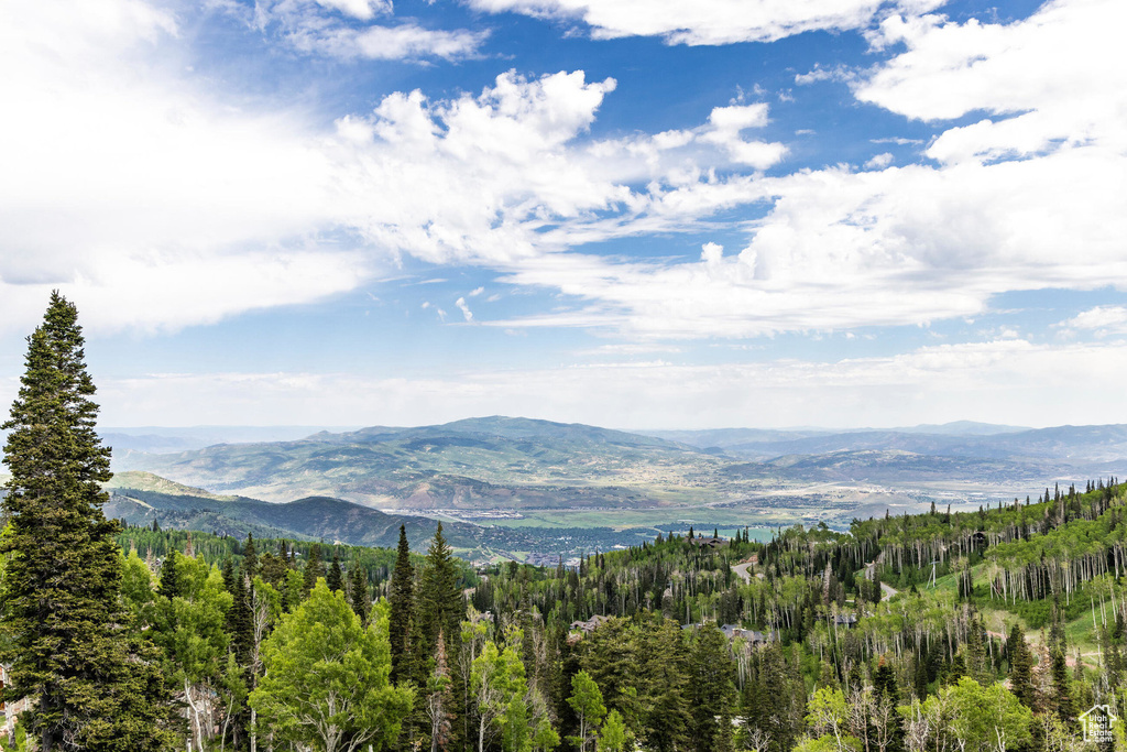 Mountain view featuring a heavily wooded area