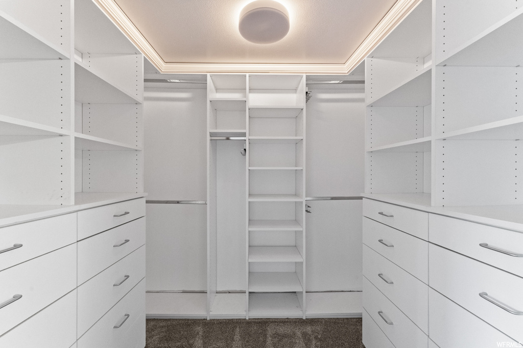 Walk in closet with dark carpet and a raised ceiling