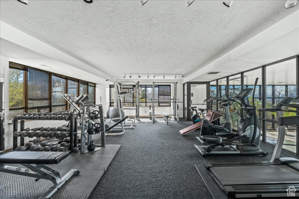 Workout area with rail lighting, a textured ceiling, and plenty of natural light