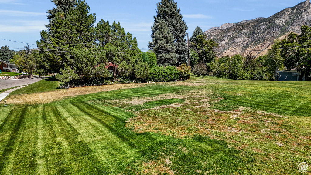 View of yard featuring a mountain view