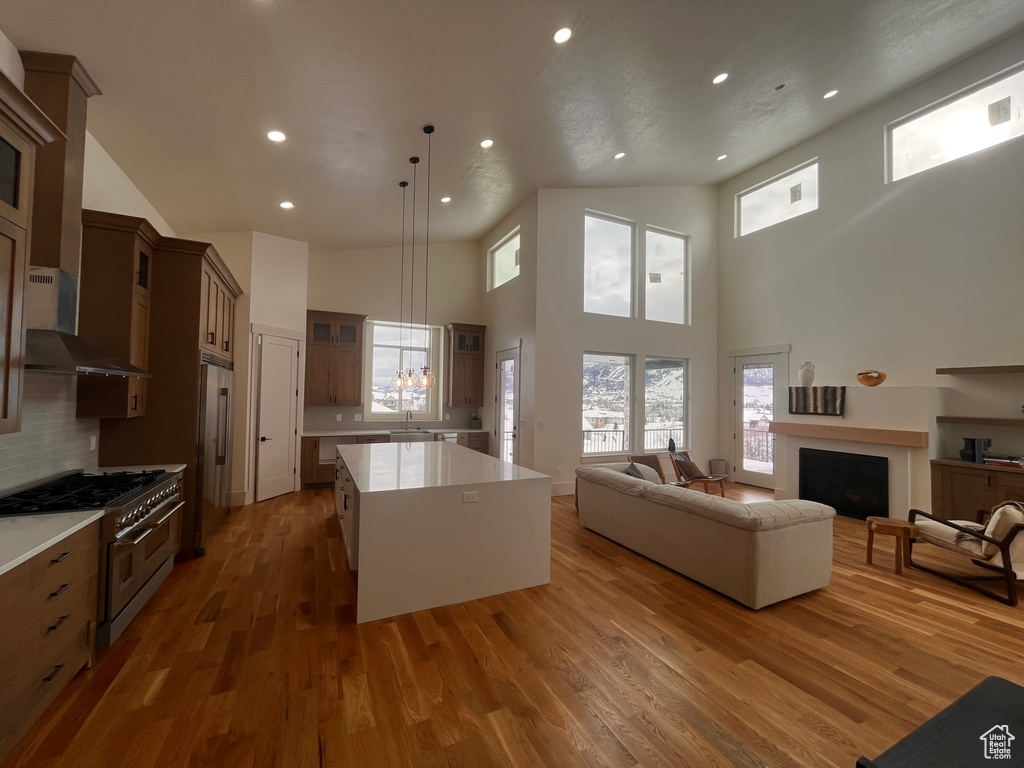 Kitchen featuring plenty of natural light, a center island, dark wood-type flooring, and high quality appliances