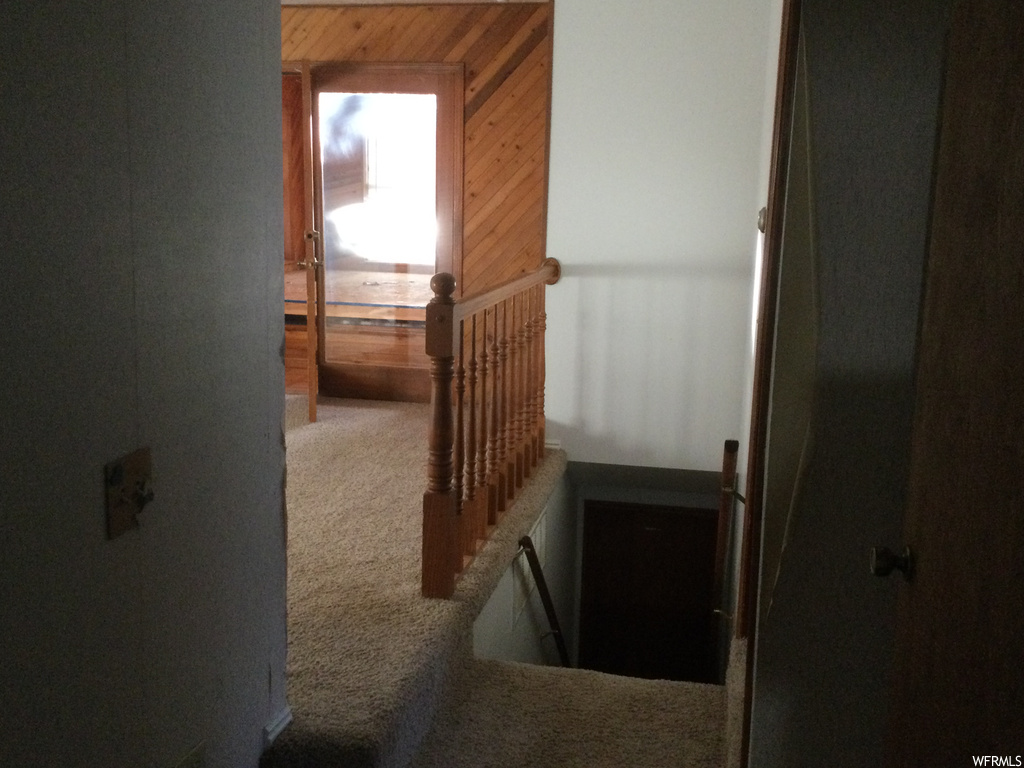 Hallway with wood walls and carpet flooring