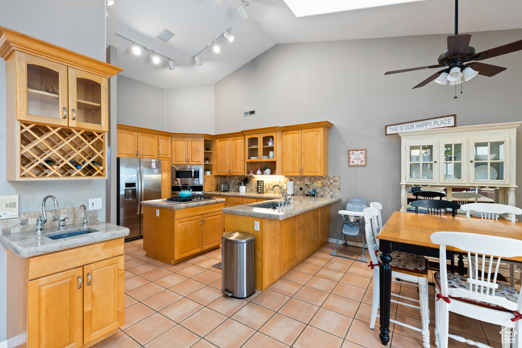 Kitchen featuring sink, appliances with stainless steel finishes, high vaulted ceiling, and ceiling fan