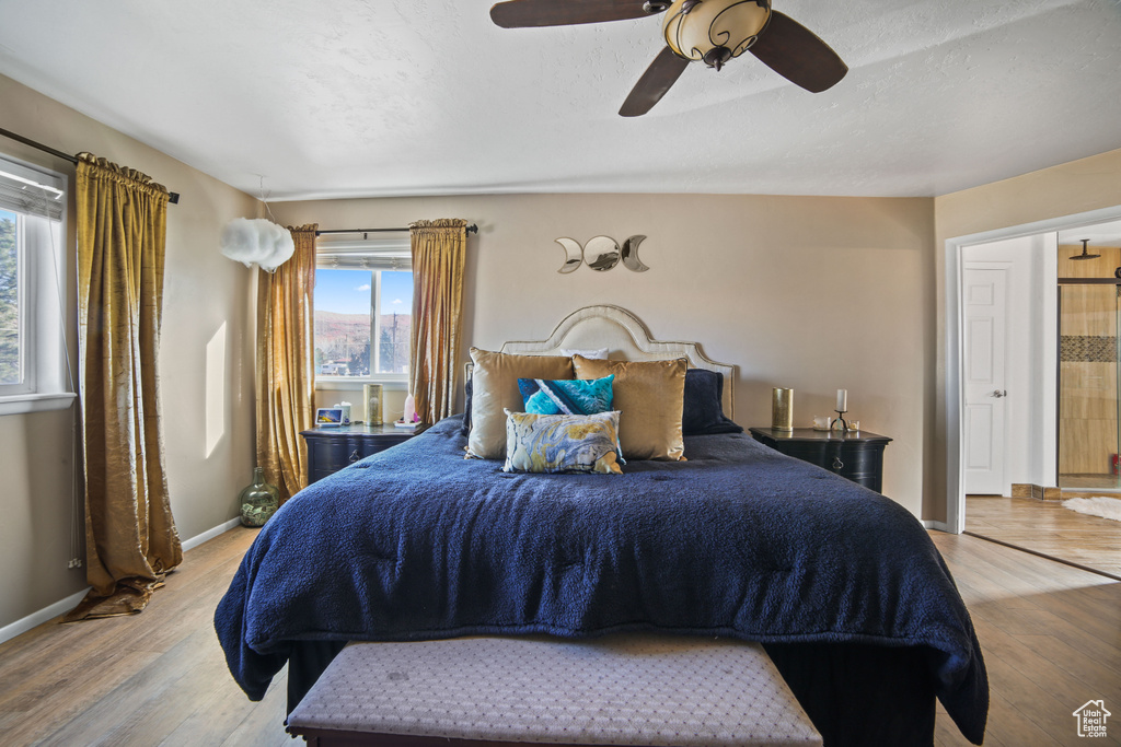 Bedroom featuring multiple windows, ceiling fan, and light hardwood / wood-style flooring