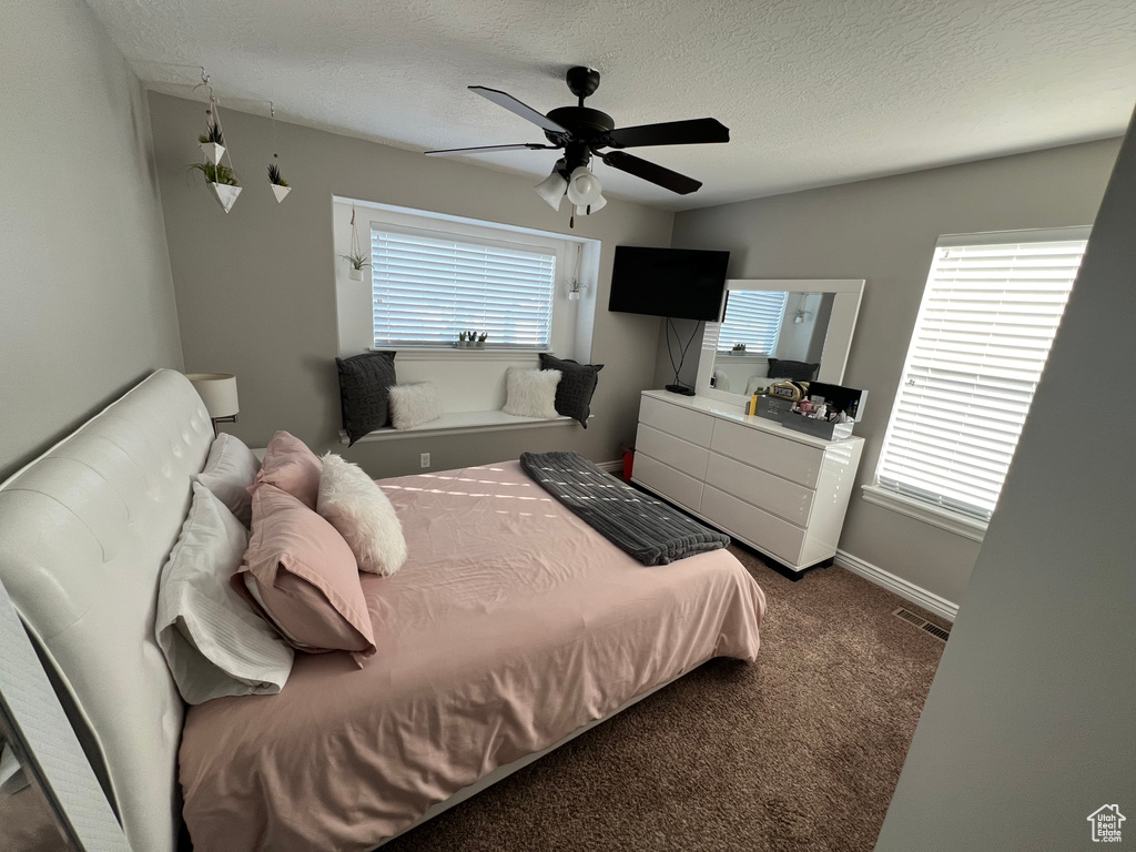 Bedroom with multiple windows, dark colored carpet, and ceiling fan