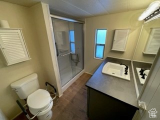 Bathroom featuring toilet, vanity, and a shower with door