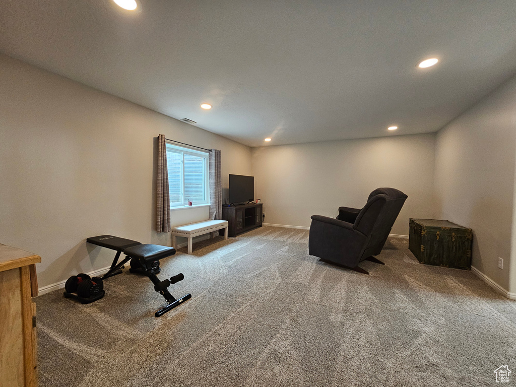 Exercise room featuring light carpet