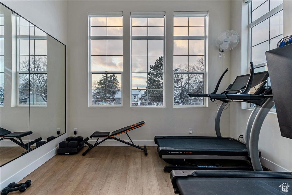 Exercise area with a healthy amount of sunlight and light hardwood / wood-style floors