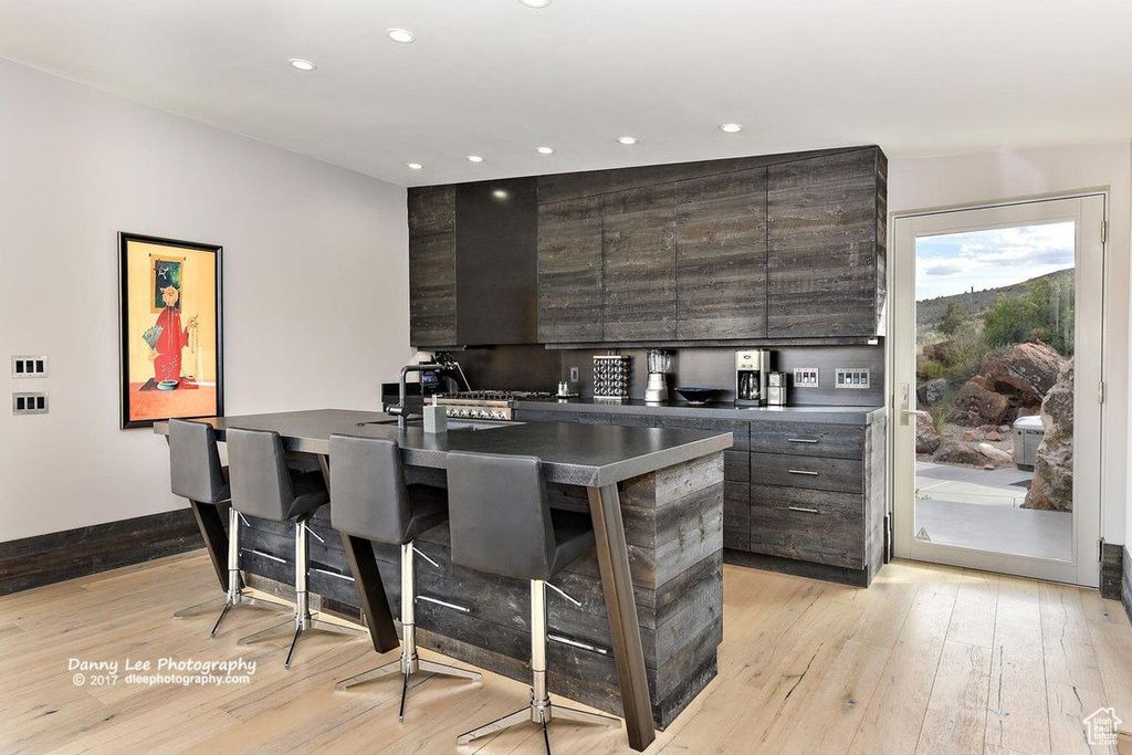 Bar featuring dark brown cabinets, sink, and light hardwood / wood-style floors