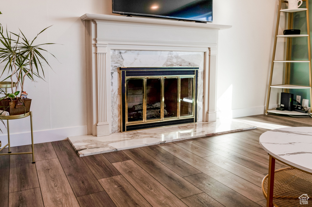 Details featuring a premium fireplace and hardwood / wood-style floors