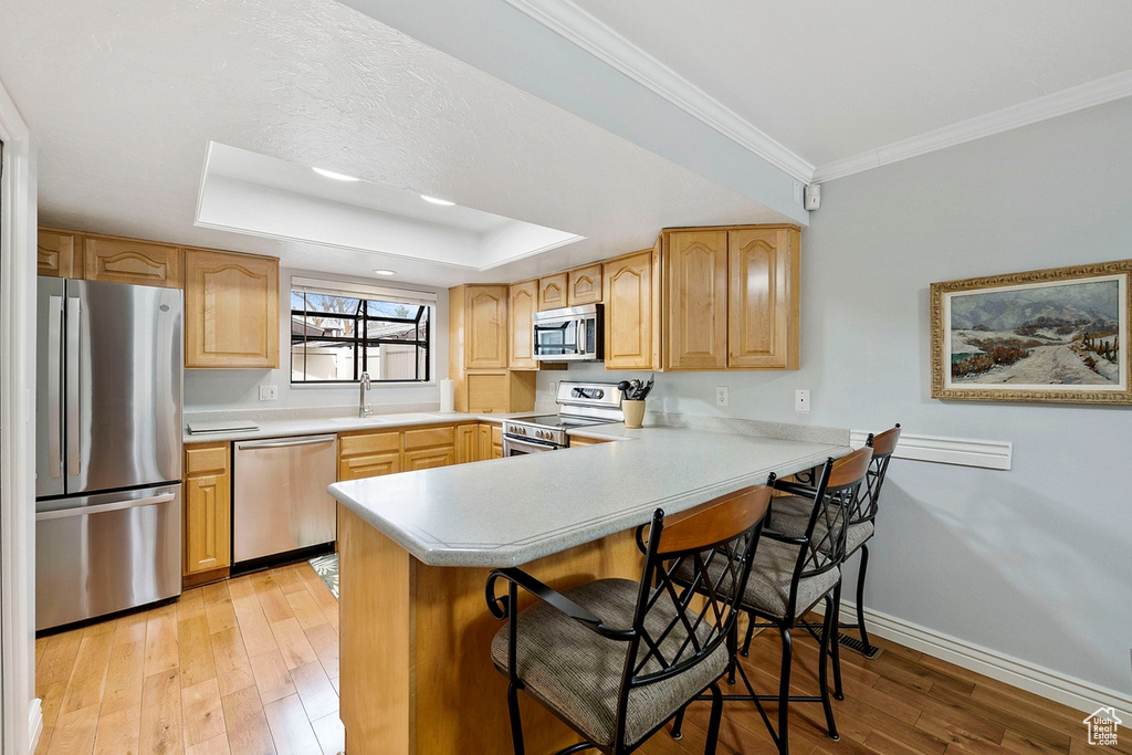 Kitchen featuring a kitchen breakfast bar, a tray ceiling, stainless steel appliances, and light hardwood / wood-style flooring