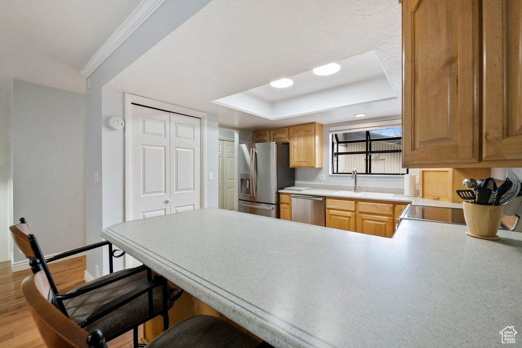 Kitchen featuring a breakfast bar area, light hardwood / wood-style flooring, appliances with stainless steel finishes, a raised ceiling, and kitchen peninsula