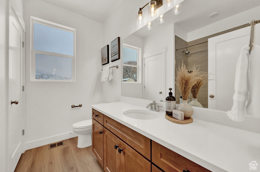 Bathroom featuring a healthy amount of sunlight, hardwood / wood-style floors, oversized vanity, and toilet