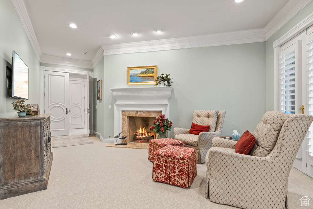Living room featuring ornamental molding, light carpet, and a premium fireplace