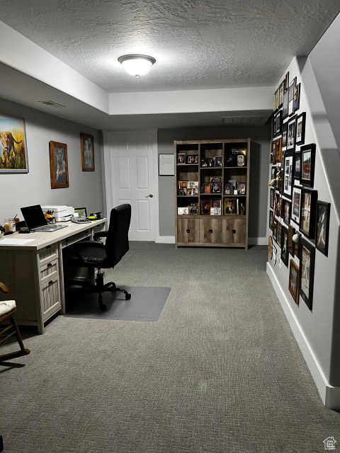 Carpeted office space with a textured ceiling