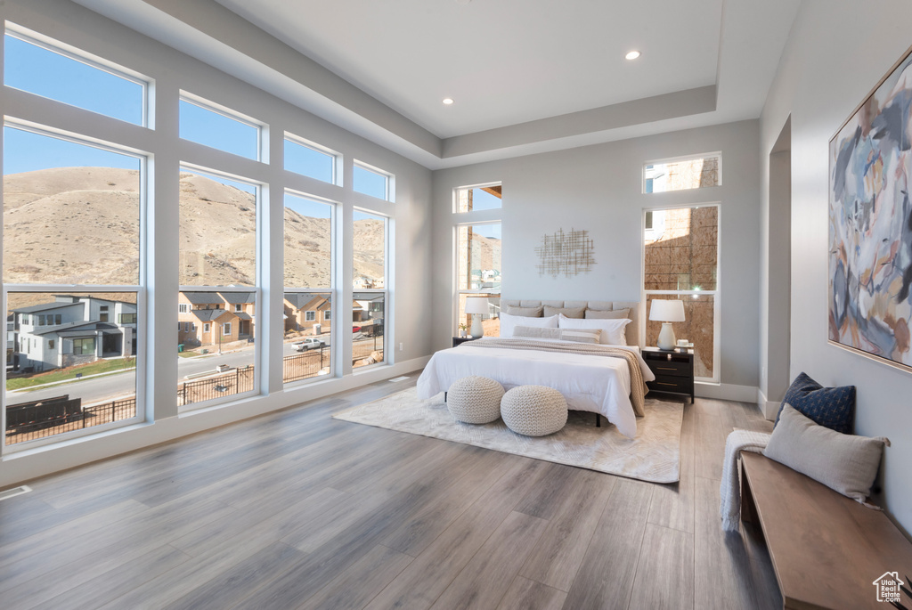 Bedroom with light hardwood / wood-style flooring and a raised ceiling