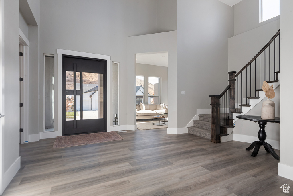 Entryway with a high ceiling, dark wood-type flooring, and a healthy amount of sunlight