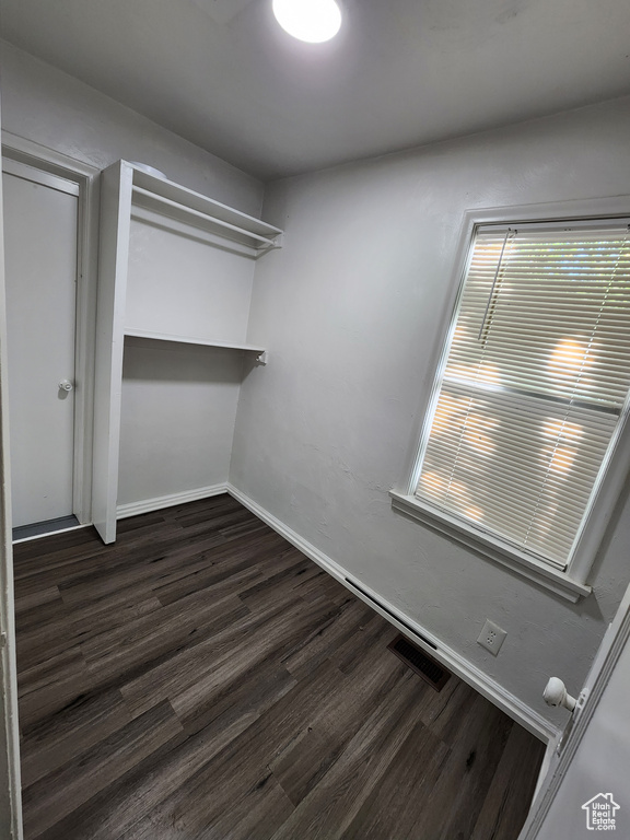 Spacious closet featuring dark wood-type flooring