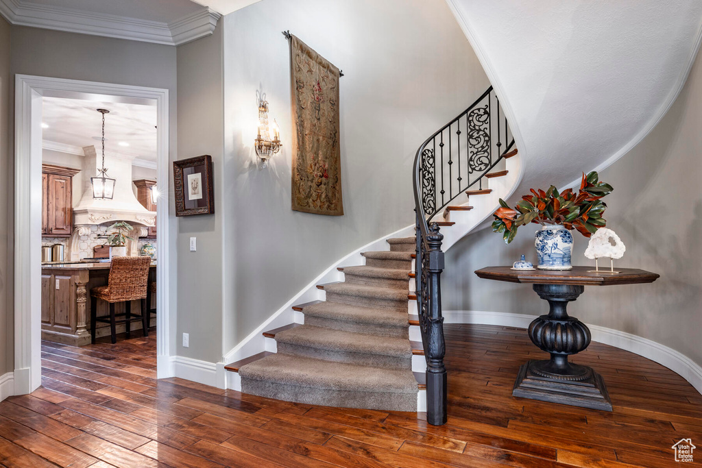 Stairs with ornamental molding and dark hardwood / wood-style floors