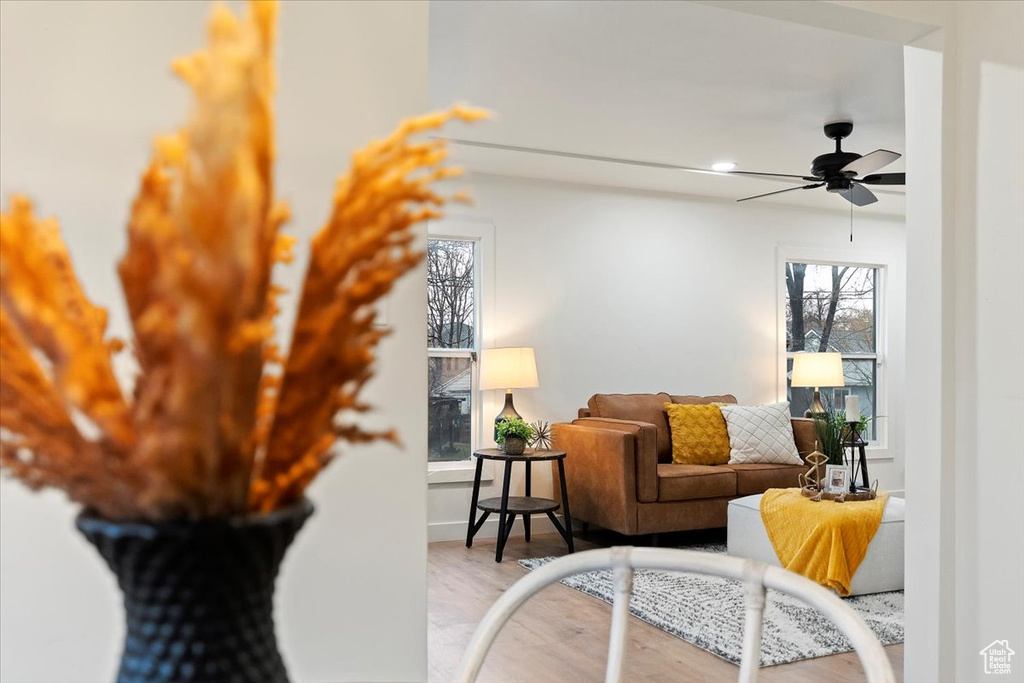 Interior space featuring light hardwood / wood-style flooring and ceiling fan