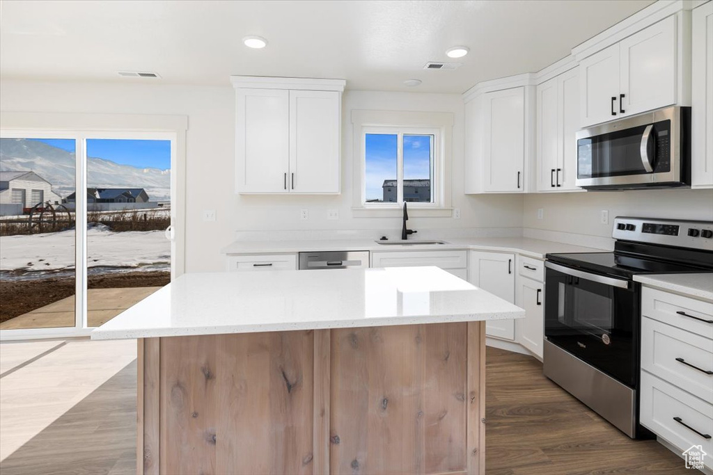 Kitchen with a center island, hardwood / wood-style flooring, stainless steel appliances, and plenty of natural light