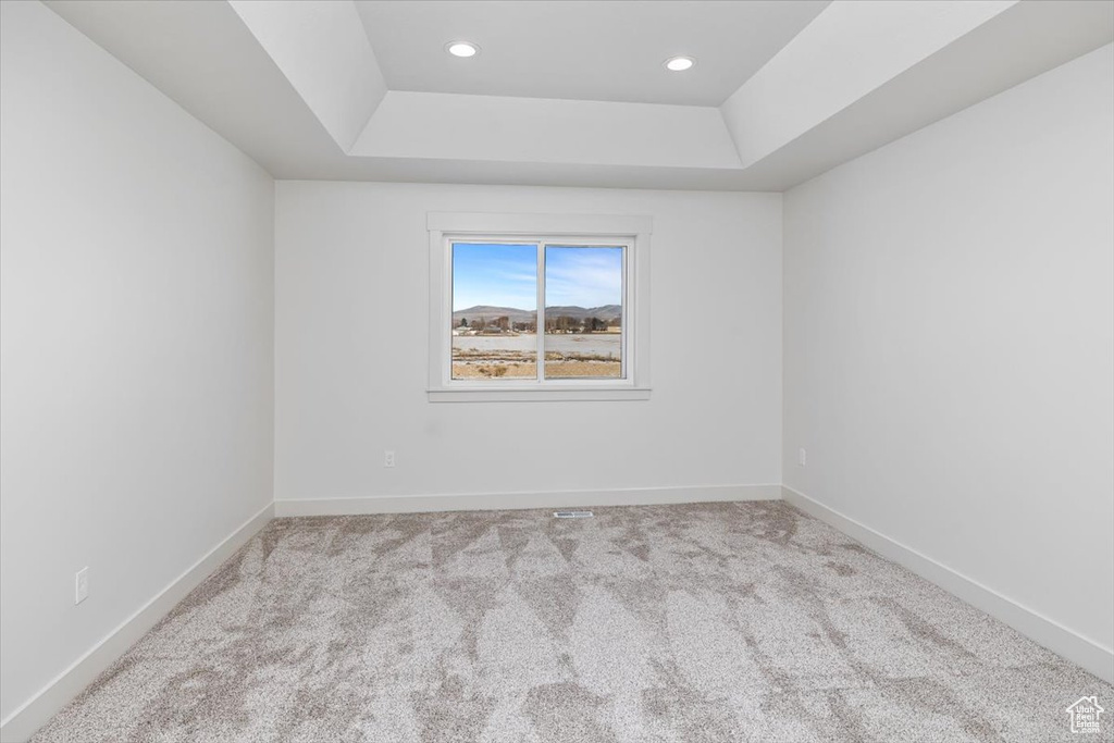 Empty room with light carpet and a raised ceiling