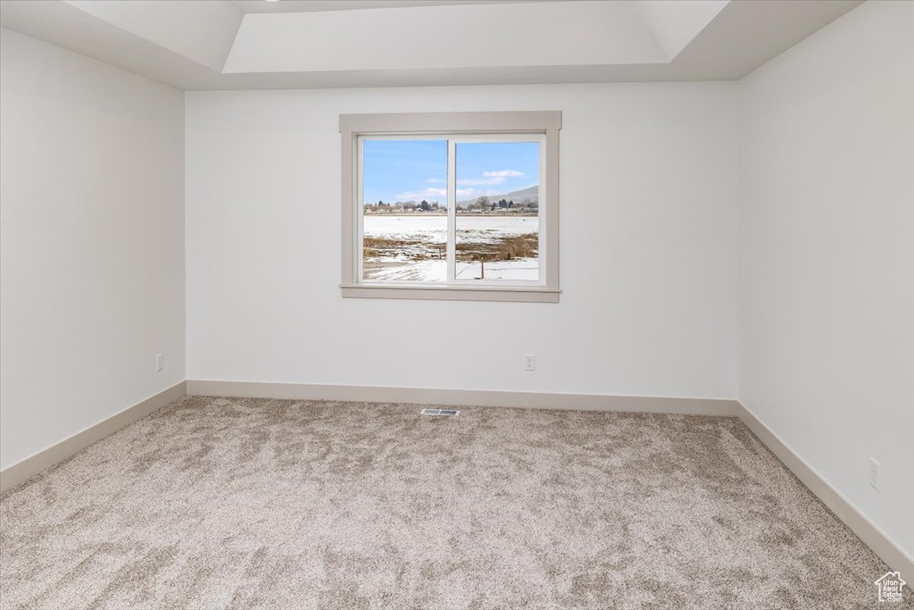 Spare room with a raised ceiling and light colored carpet