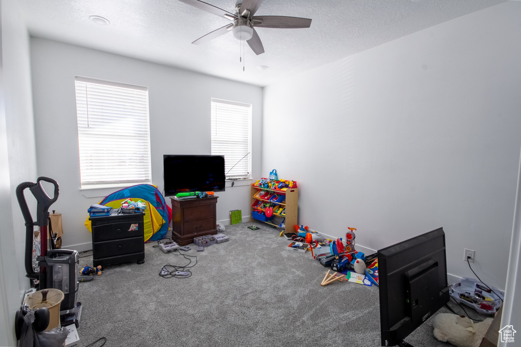 Recreation room featuring carpet floors, a wealth of natural light, a textured ceiling, and ceiling fan