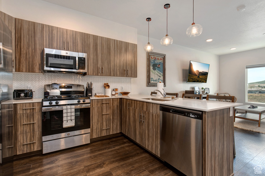 Kitchen featuring dark wood-type flooring, tasteful backsplash, hanging light fixtures, and stainless steel appliances