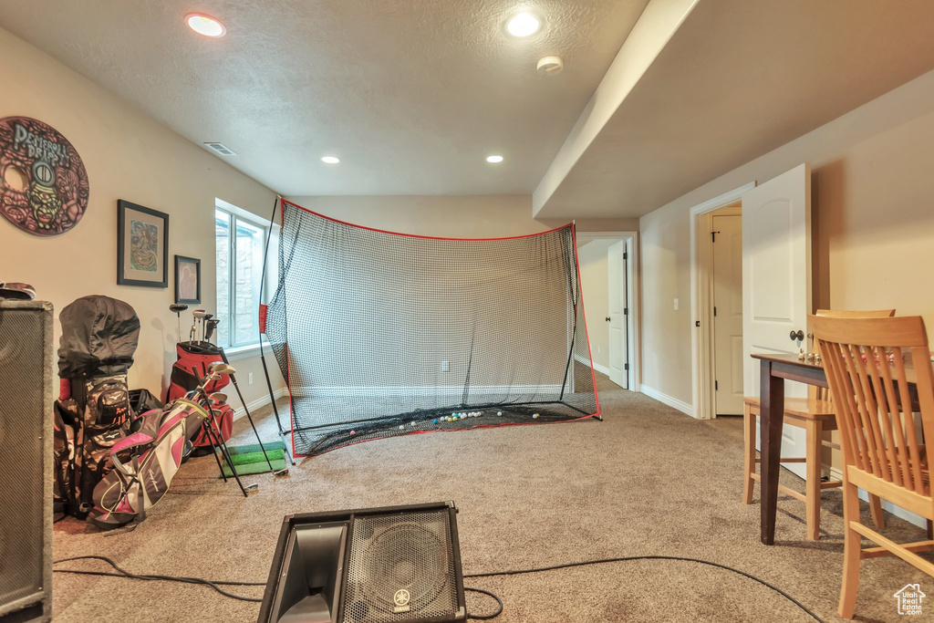Rec room with light colored carpet and a textured ceiling