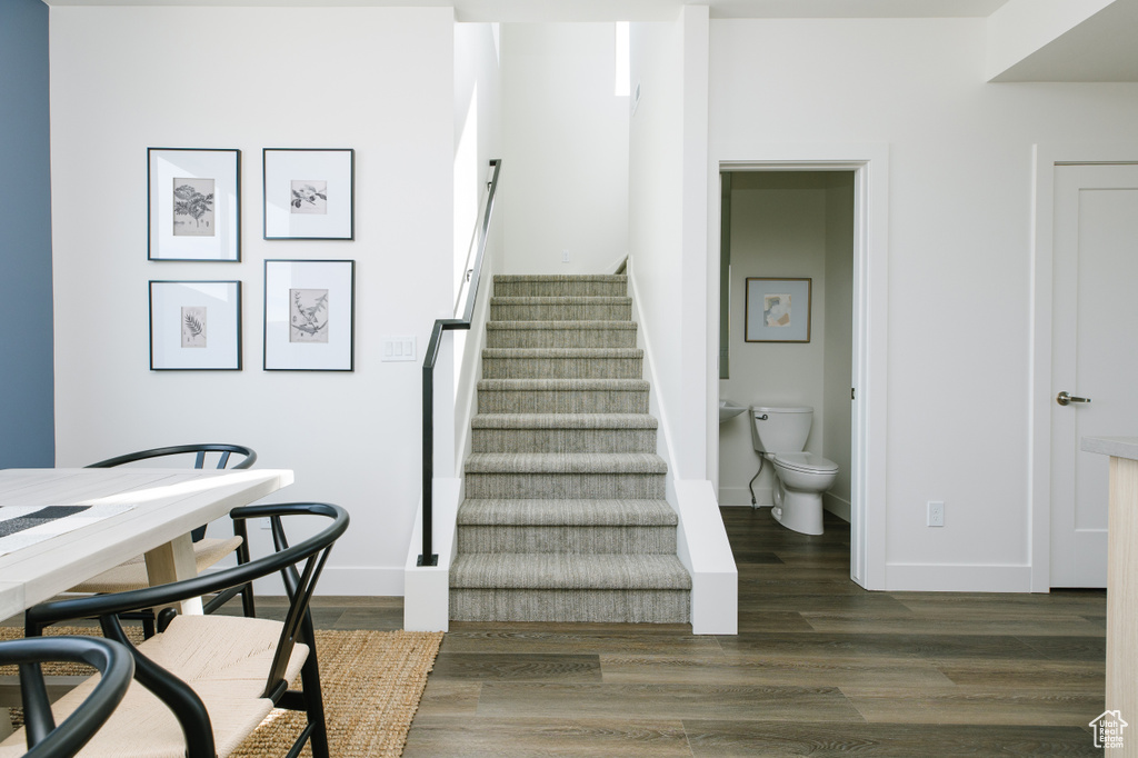 Stairs featuring dark hardwood / wood-style floors