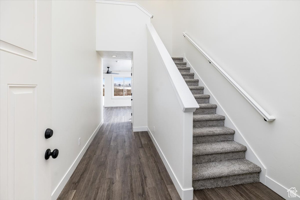 Stairway with dark hardwood / wood-style flooring and ceiling fan