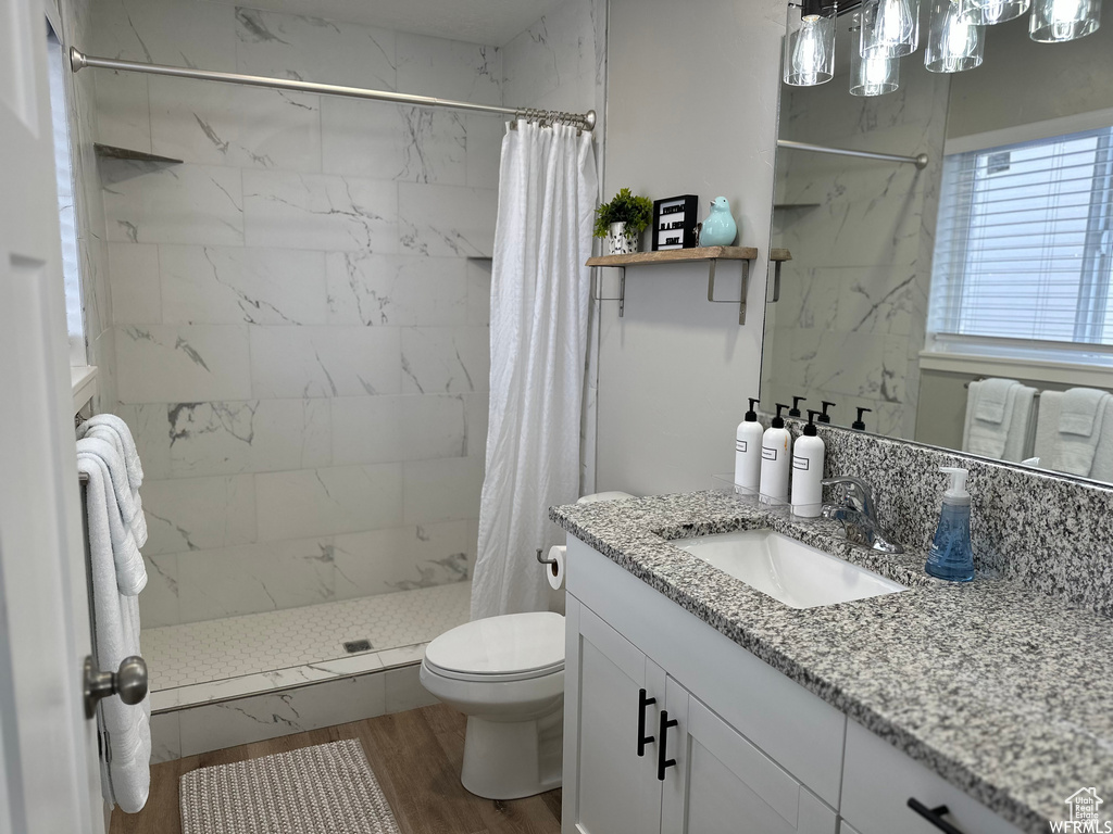 Bathroom featuring wood-type flooring, toilet, a shower with curtain, and oversized vanity